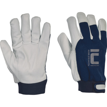 Obrázok z Cerva PELICAN BLUE Pracovné rukavice zimné 12 párov